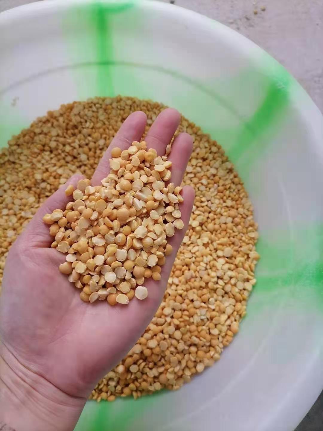 https://www.bestseedcleaner.com/beans-peeling-splitting-machine/